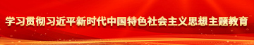 日本鸡巴wwww学习贯彻习近平新时代中国特色社会主义思想主题教育